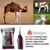 Relac 22-19 İthal Hayvansal İçerikli Köşek-Yavru Deve Maması-25 Kg - 3
