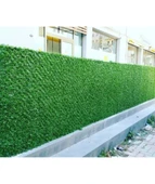 Çimçit 200 cm x 10 M - 2