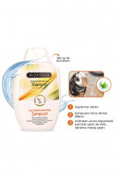 Morfose Saç Dökülmesine Karşı Şampuan 300 ml - 1
