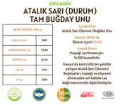 Taş Değirmenden Organik Organik Atalık Sarı Durum Tam Buğday Unu - 5 Kilo thumbnail 2