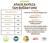 Taş Değirmenden Organik Organik Atalık Kavılca Gernik Tam Buğday Unu - 5 Kilo thumbnail 2
