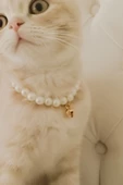 Cam İnci Kedi Kolyesi Zilli Kedi Tasması - Beyaz - 2