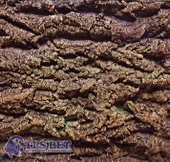 Dansör 3 Boyutlu Sert Strafor Arka Fon 60x55x5cm Desen 1 - 1