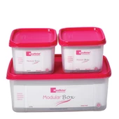 Moon star Modüler Hava Sızdırmaz Saklama Kabı-2,5LT+2X0,65LT-MS-08 thumbnail 1