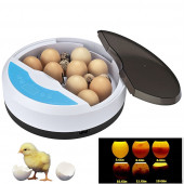 Mini 9+4 Yumurtalı  Otomatik Kuluçka Makinası - 1