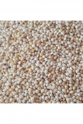 Muhabbet Kuşu Yemi - Sade Ak Darı - 5 Kg - 1