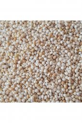 Muhabbet Kuşu Yemi Sade Ak Darı 5 Kg - Beyaz Darı Kuş Yem - 1