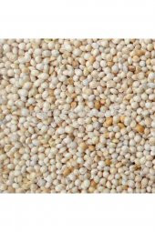 Ak (BEYAZ) Darı 10 Kg Kuş Yemi - 1