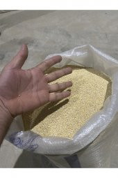Akdarı Muhabbet Kuş Yemi Ak Darı 5kg Kargo Bizden - 3
