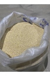 Akdarı Muhabbet Kuş Yemi Ak Darı 5kg Kargo Bizden - 4