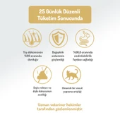 Felicia Az Tahıllı 12 Kg Somonlu Yetişkin Kedi Maması thumbnail 10