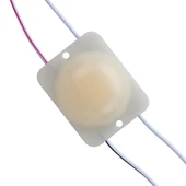 Powermaster 24 Volt 2.8 Watt Günışığı Cob Modül Led - 5