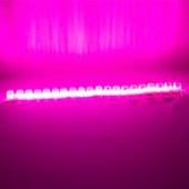 POWERMASTER MODÜL LED 12V 1.5W PEMBE 2835 85X73 MM IP65 240-260LM 180 DERECE - 2