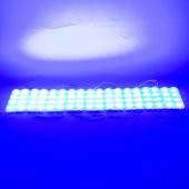 Powermaster 12 Volt 3.6 Watt Mavi 2835 Modül Led - 4