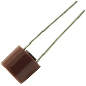 Yuvarlak Sigorta 2.5 A (Recevier İçin) Radial - 3