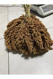 DOĞAL DAL DARI ÖZEL HAZIRLANMIŞTIR 500 GR - 1