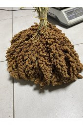 Doğal Dal Darı (ÖZEL HAZIRLANMISTIR) 1 Kg - 1