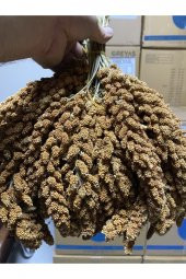 Doğal Dal Darı (ÖZEL HAZIRLANMISTIR) 1 Kg - 2