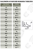 Salomon Quest Element Gore-Tex Erkek Haki Outdoor Bot - 4