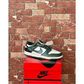 Nike Dunk Low Michigan State 42 Unisex Sneakers - 1