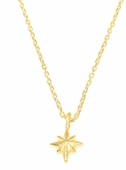 925 Ayar Gümüş Kutup Yıldızı Kolye, Sarı thumbnail 2