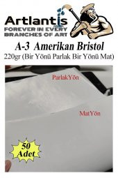 A3 Amerikan Bristol Karton 29.7x42 cm 50 Adet 220 gr Bir Tarafı Parlak Bir Tarafı Mat Kağıt Biristol Karton - 1
