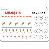Okul Öncesi Matematiğin Temeli YAZ-SİL Kitabı - 2