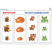 Okul Öncesi Matematiğin Temeli YAZ-SİL Kitabı - 5