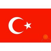 Vatan Türk Bayrağı 200 x 300 cm - 1