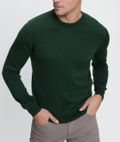 Dormen Slim Fit Sıfır Yaka Erkek Triko - 5