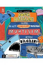 Köpek Balıkları Ve Diğer Su Altı Canlıları Hakkında Muhteşem Ötesi Bilgiler! - 1