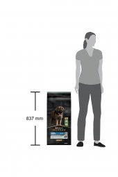 Büyük Irk Kuzu Etli Yetişkin Köpek Maması 14 kg - 5