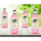 Dalan Botanica Duş Jeli Şakayık 500 ml 4 adet - 1