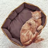 Pet Yatağı Maksim Antrasit 60x80 - 2