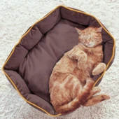 Pet Yatağı Maksim  Antrasit 60x80 - 7