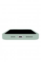 Iphone 14 Pro Max  Uyumlu Rubber Fit Kılıf Succulent - 3