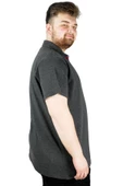 Mode XL Erkek T shirt Polo Legendary Team 22314 Antramelanj - 2