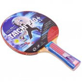 TAICHI ITTF RAKET - 1