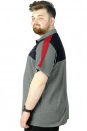 Mode XL Büyük Beden T-Shirt Polo When You Are 22334 Antramelanj thumbnail 2