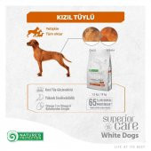 NP Red Coat All Breeds Adult Dog Food with Poultry Tahılsız Kümes Hayvanlı Bütün Irklar için Yetişkin Kızıl Köpek Maması 1,5 Kg thumbnail 4