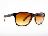 Rayban Rb4181 710/13 Polarize Unisex Güneş Gözlüğü - 1