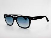 Ray-Ban RB 2283 1249.3M 55.20 Unisex Güneş Gözlüğü - 1