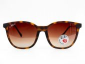 Ray-Ban RB 4333D 710/83 55-17 POLARIZE Unisex Güneş Gözlüğü - 2