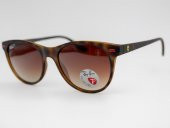 Ray-Ban RB 2202-M F613/13 54/19  Polarize Unisex Güneş Gözlüğü - 1