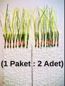 Eagenset Çapari İstavrit Çaparisi, Ultraviyole UV Neon 11 No Beyaz İğne, 10 İgneli Çapari 2li Paket - 4