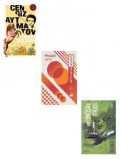 Pinball 1973 + Bir Çöküşün Öyküsü + Elveda Gülsarı (3 Kitap) - 1