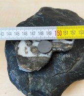 HZ. ALİ RESİMLİ MAGNET BAL KABAĞI FORMUNDA MAGNET NO 78 - 3