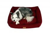 Dubex Cookie Kedi Köpek Yatağı Kırmızı XSmall 50x40x17 cm - 2