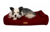 Dubex Cookie Kedi Köpek Yatağı Kırmızı XSmall 50x40x17 cm - 3