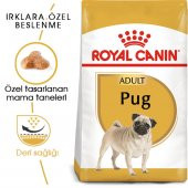 Royal Canin Pug Adult 1.5 Kg. - 2